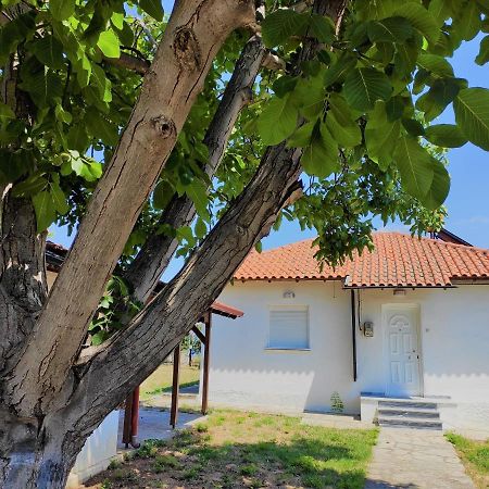 White Clam Vintage House With Sea View & Garden Villa Makrýjalos Eksteriør bilde